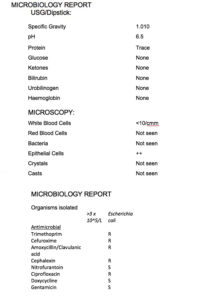 sample urine microbiology report